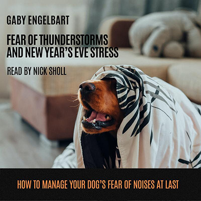Fear of Thunderstorm and New Years Eve Stress - Cover400x400